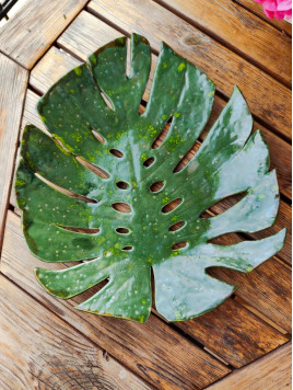 Keramická miska MONSTERA deliciosa Keramická miska MONSTERA deliciosa